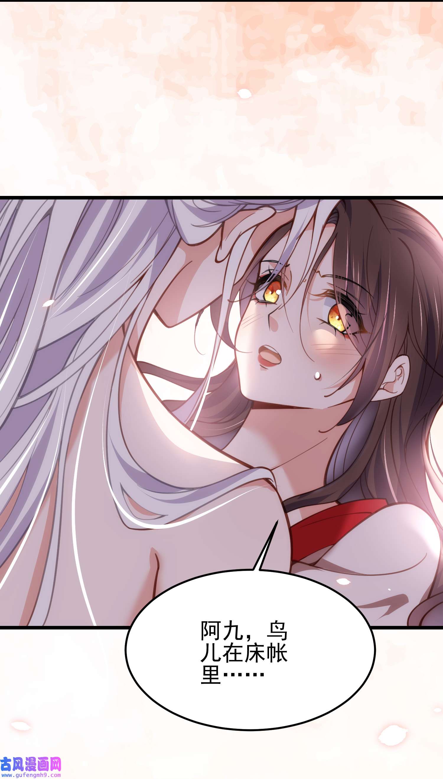 宦妃天下204 洞房炸了