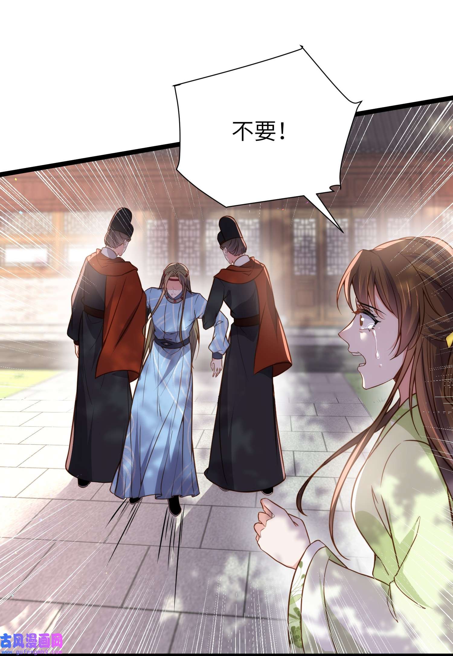 宦妃天下215 我要把孩子打掉