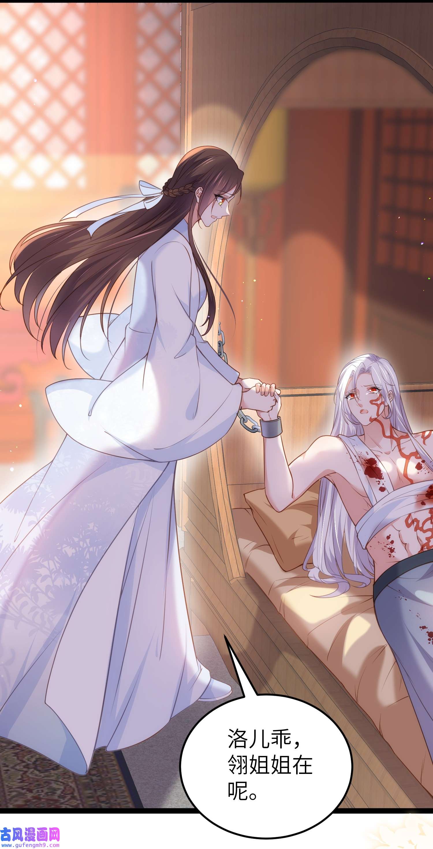 宦妃天下223 杀了皇帝？！