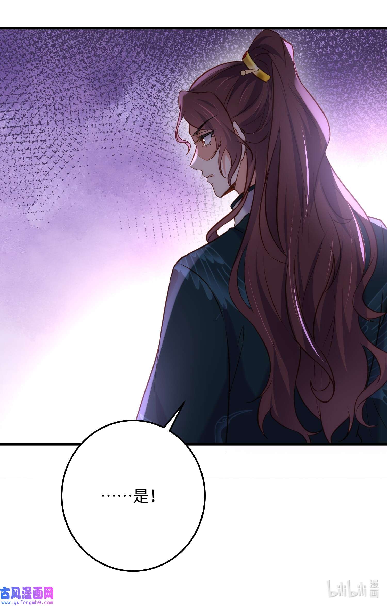 宦妃天下226 陆相的阴谋