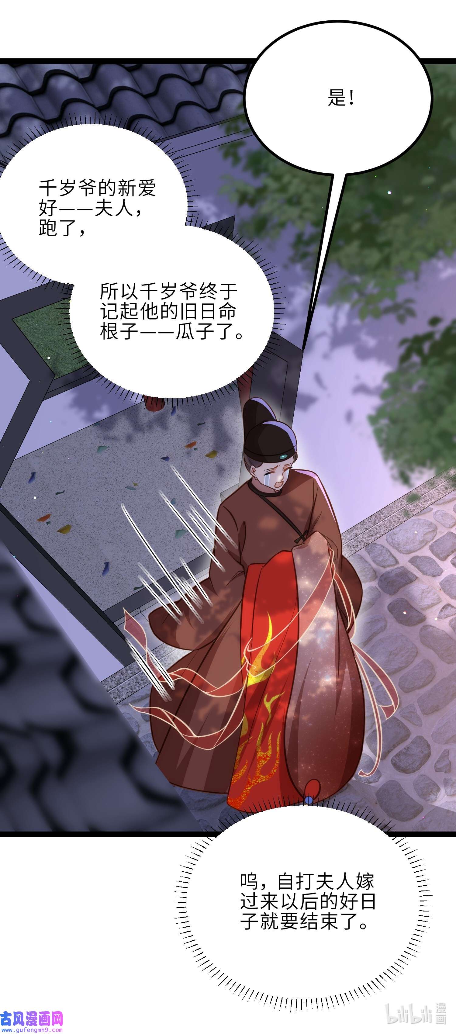 宦妃天下236 夫人走了