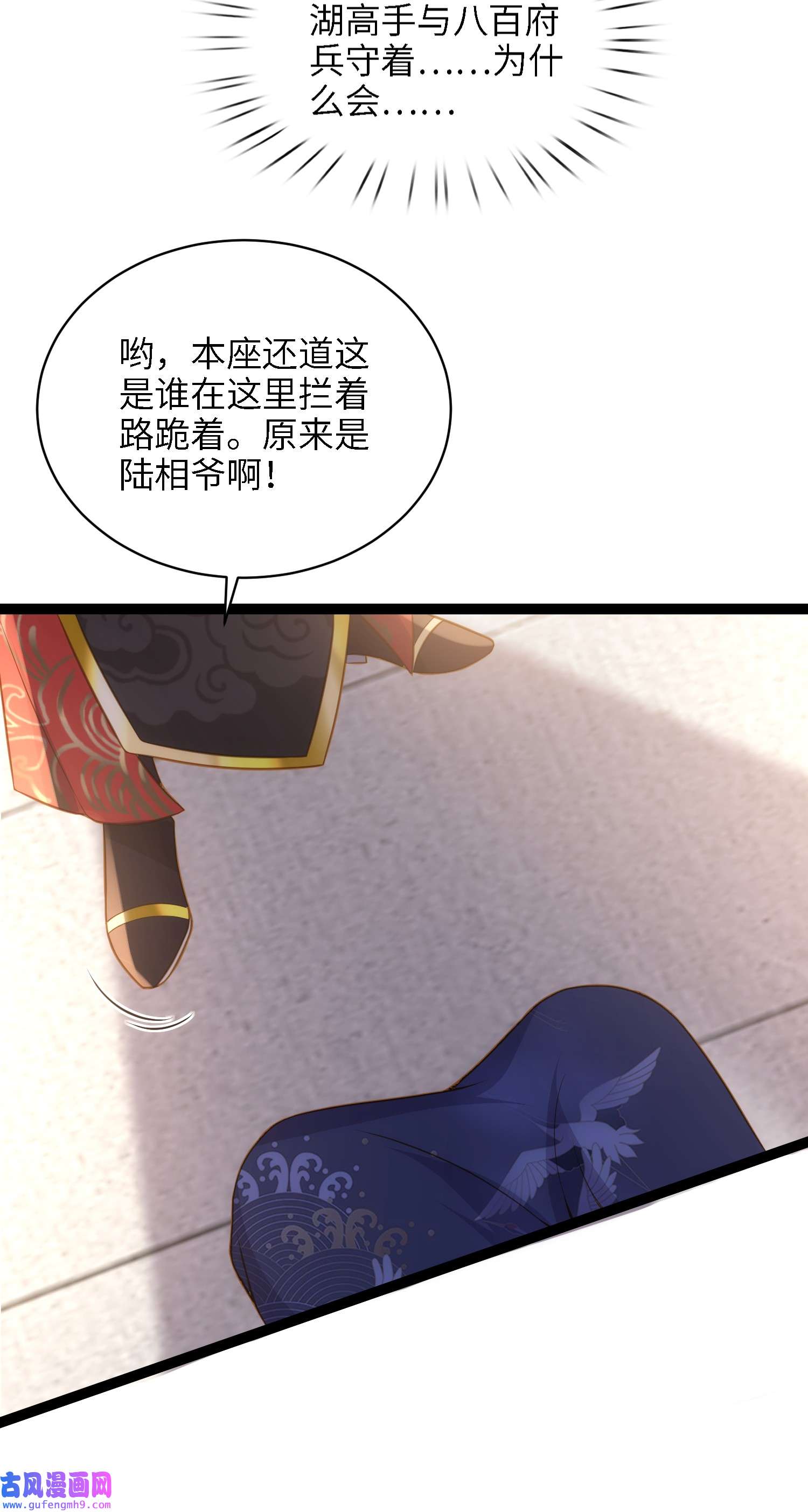 宦妃天下237 陆相跪迎本座呀