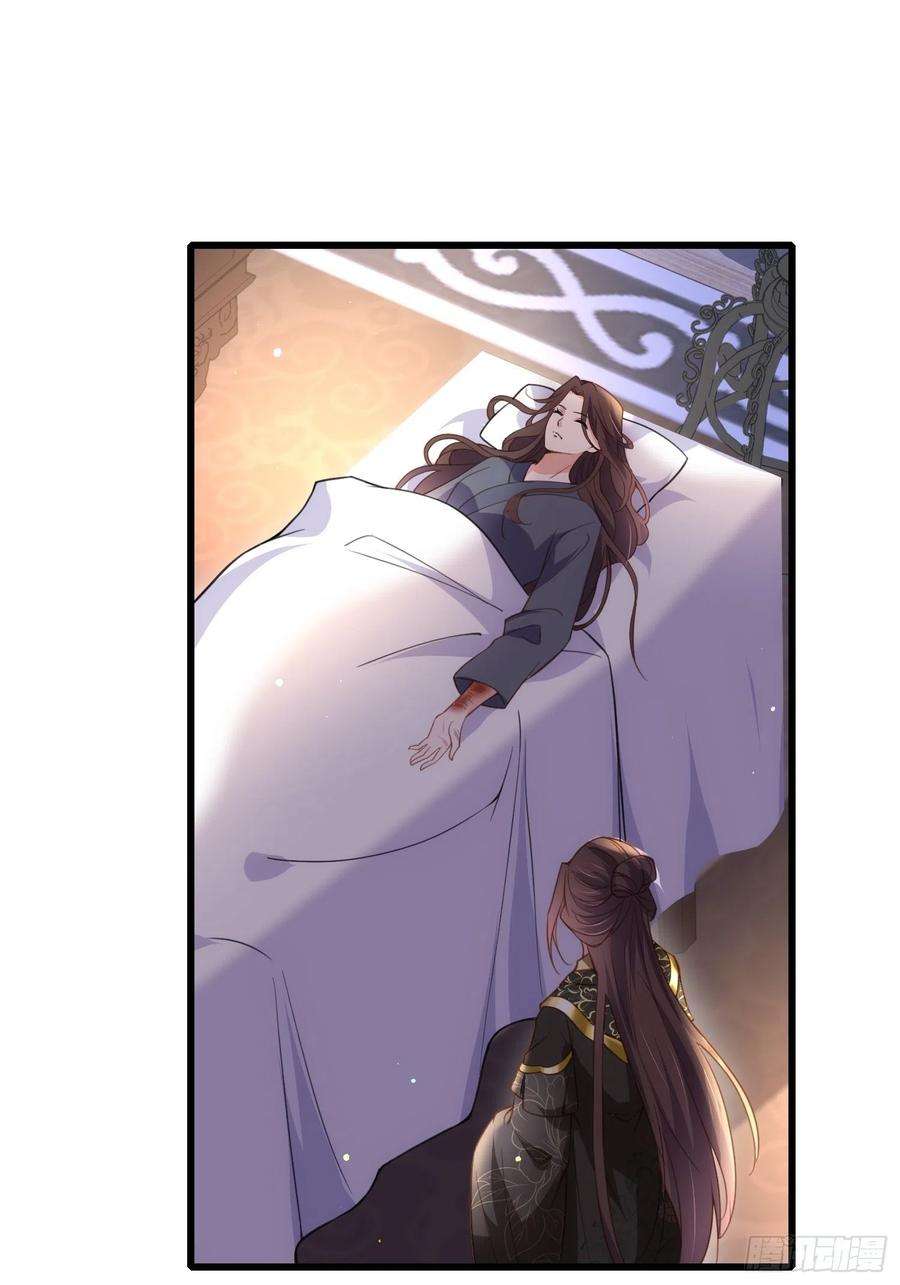 宦妃天下180话 蓝大夫人死了