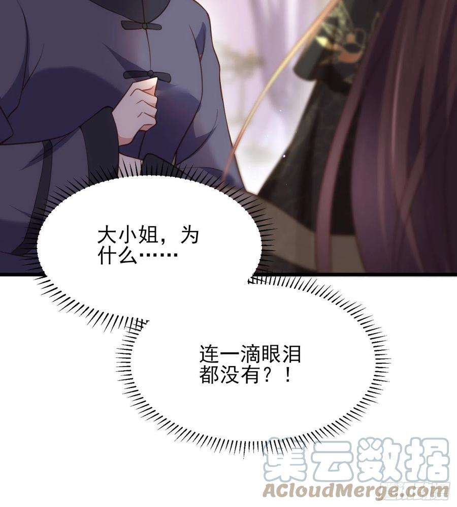 宦妃天下180话 蓝大夫人死了