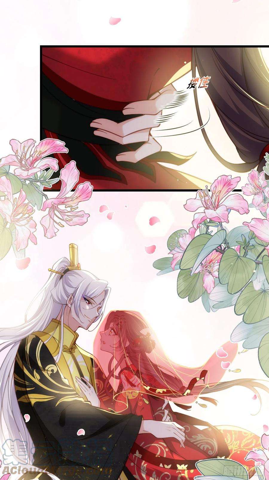 宦妃天下200话 夫妻对拜