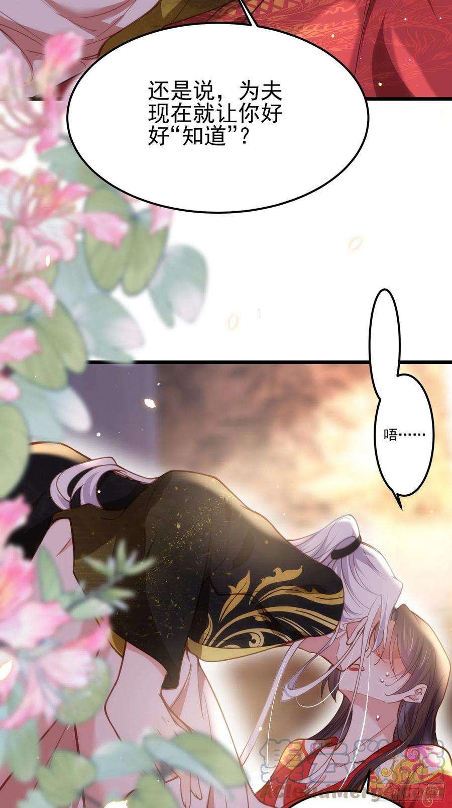 宦妃天下203话 全往本座的洞房钻