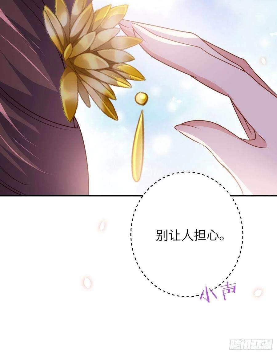 宦妃天下214话 别让人担心