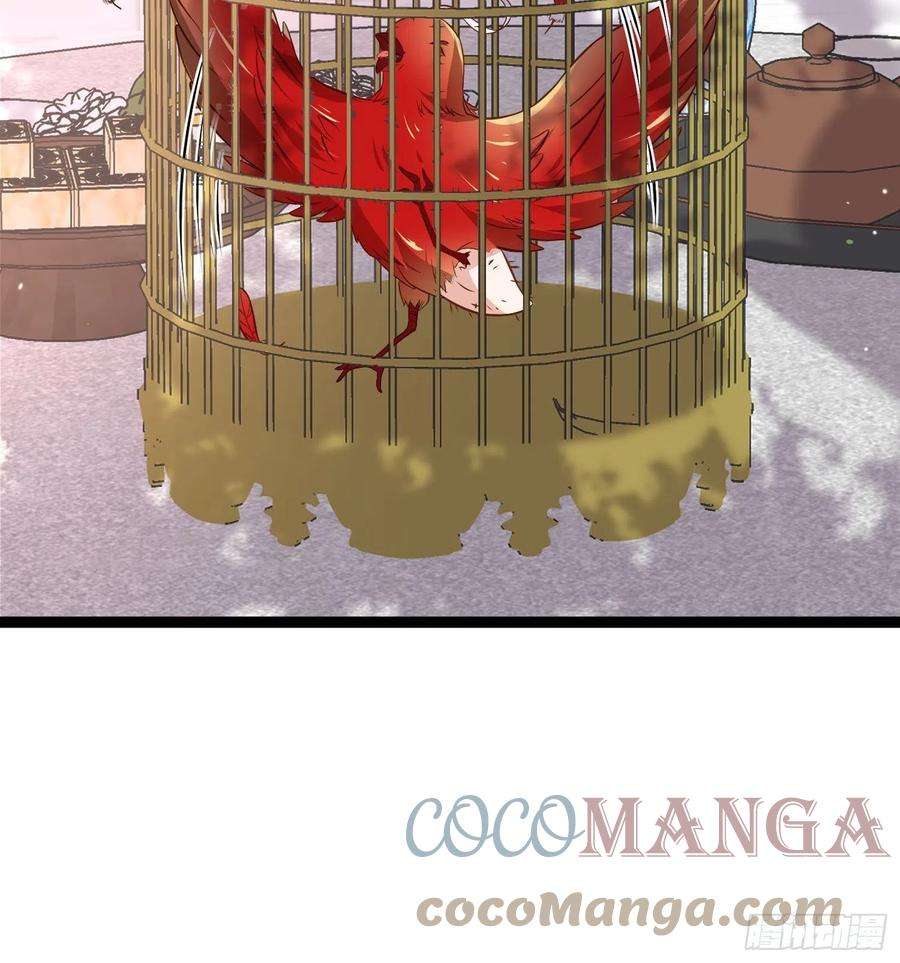 宦妃天下218话 真的那么厉害？