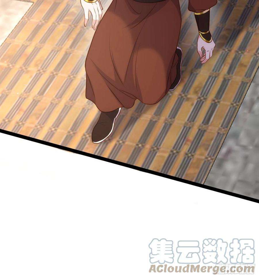 宦妃天下239话 异族城主