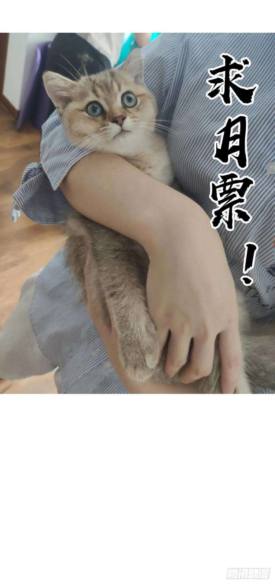 星灵暗帝35话：霸道武魂