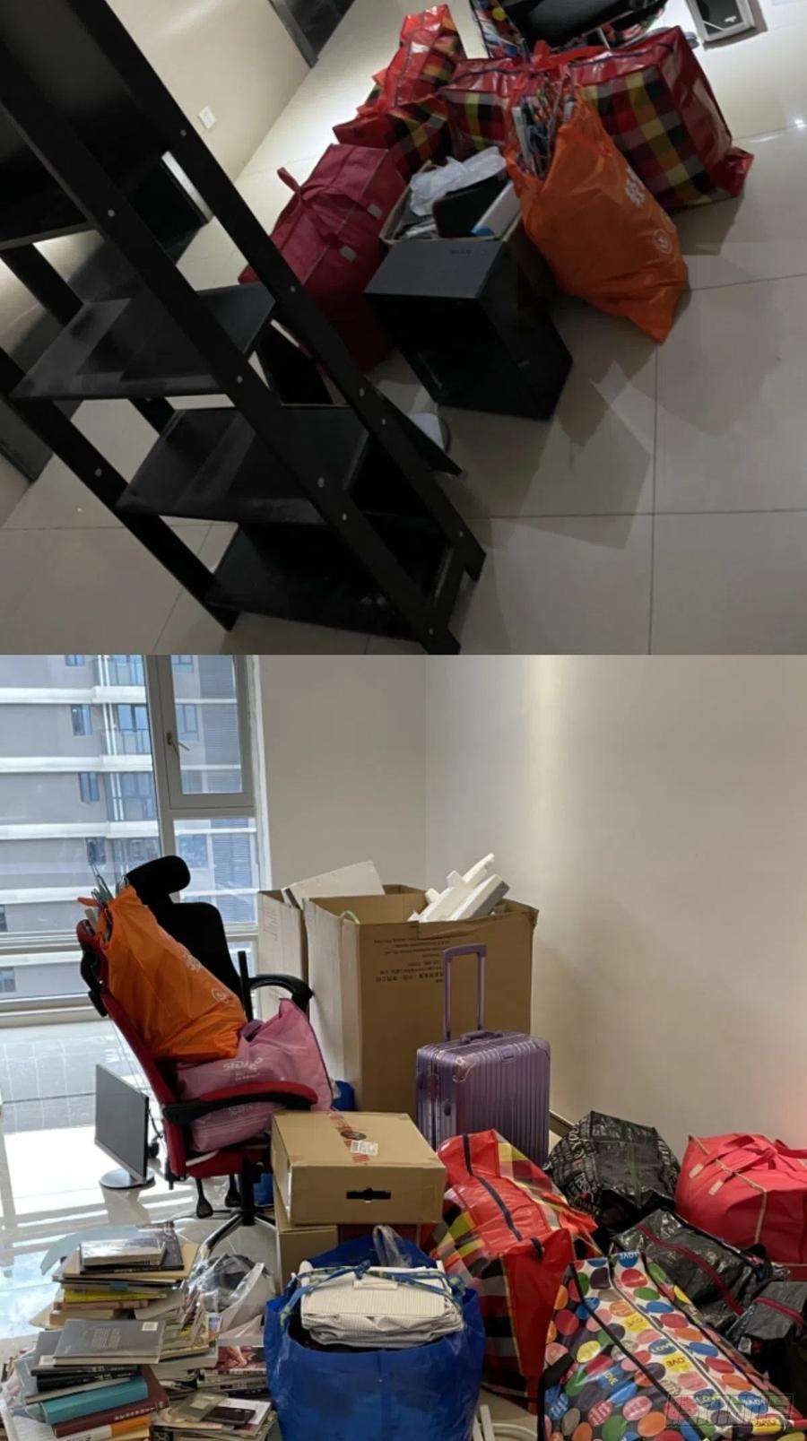 星灵暗帝84话：统一战线