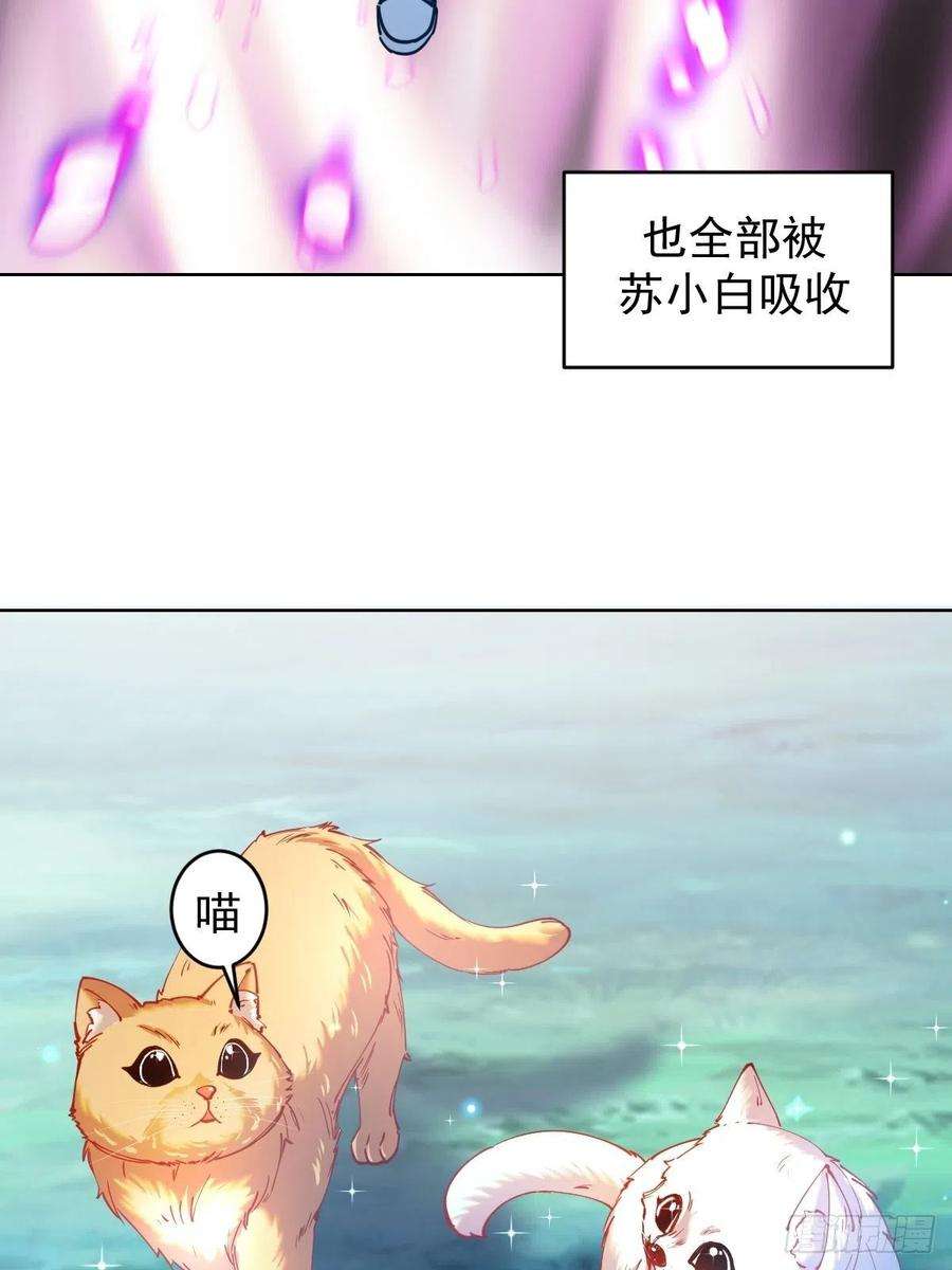 星灵暗帝203话：双生猫妖