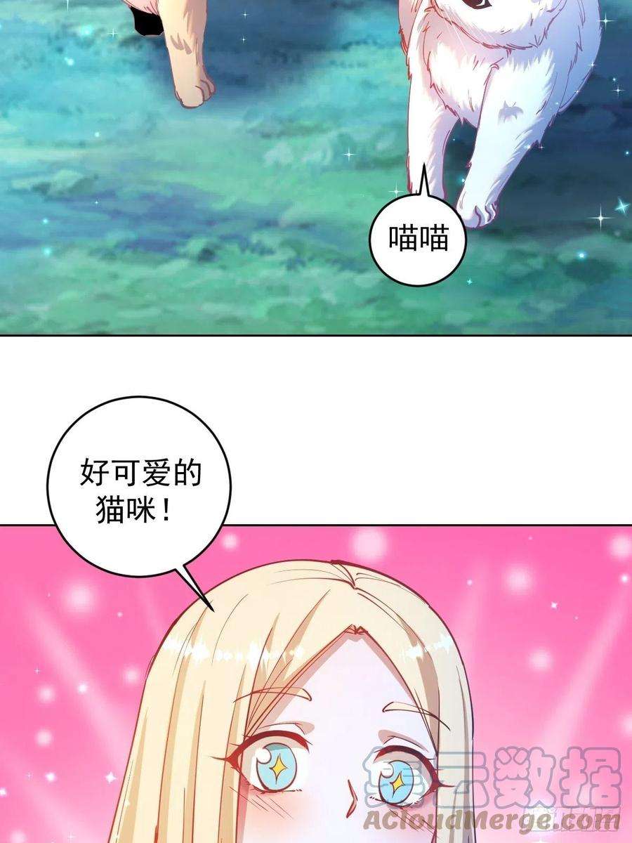 星灵暗帝203话：双生猫妖