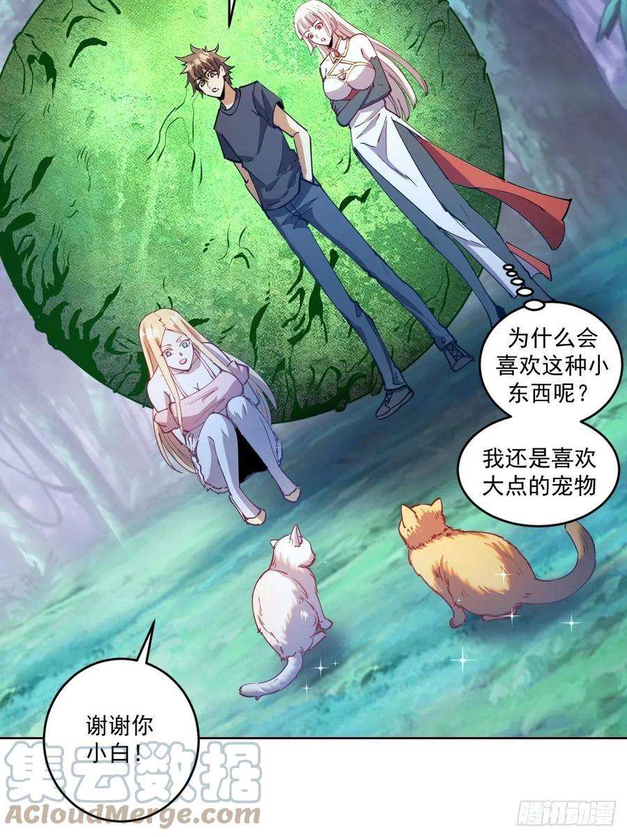 星灵暗帝203话：双生猫妖