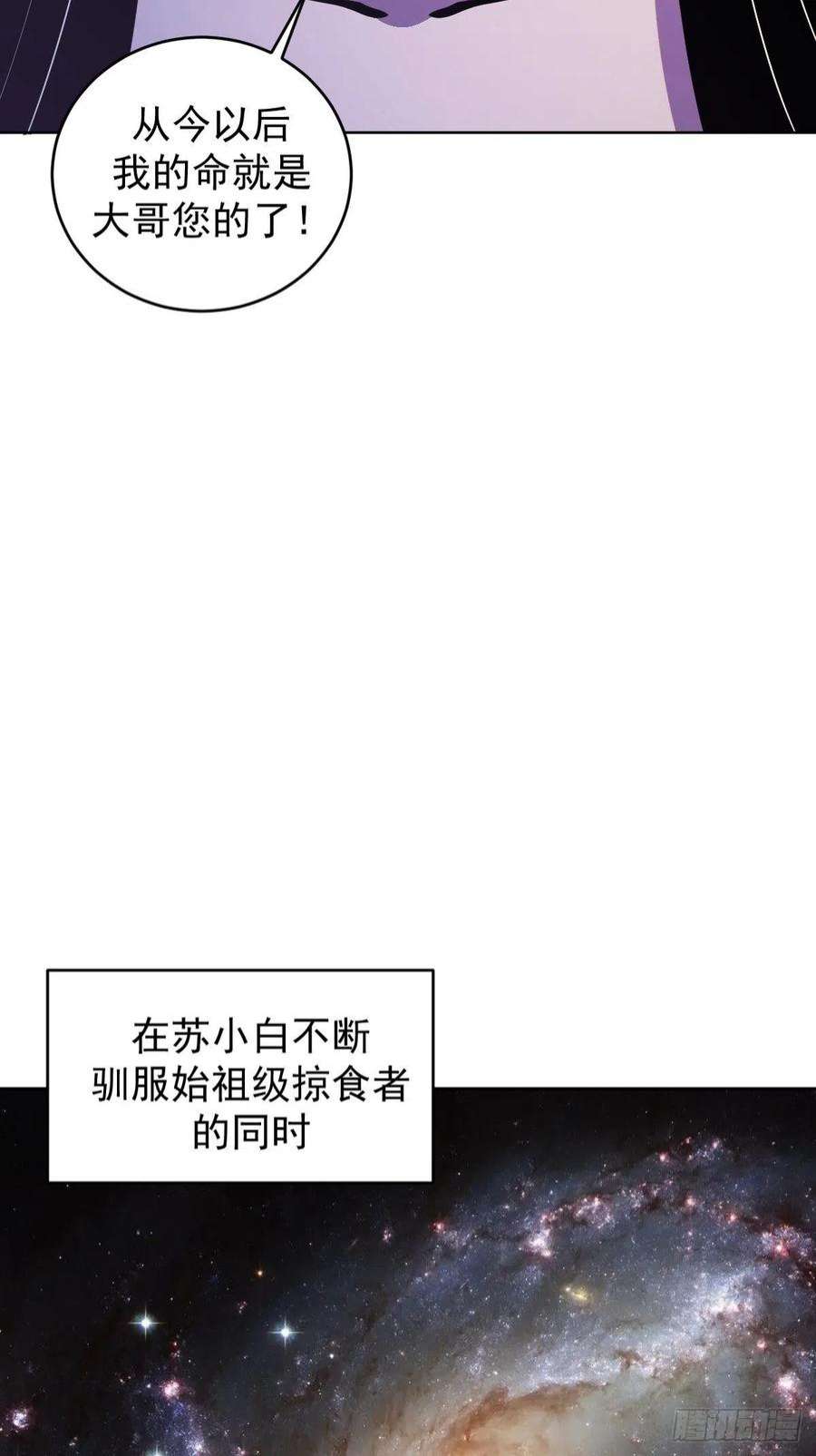 星灵暗帝213话：圣光十字军