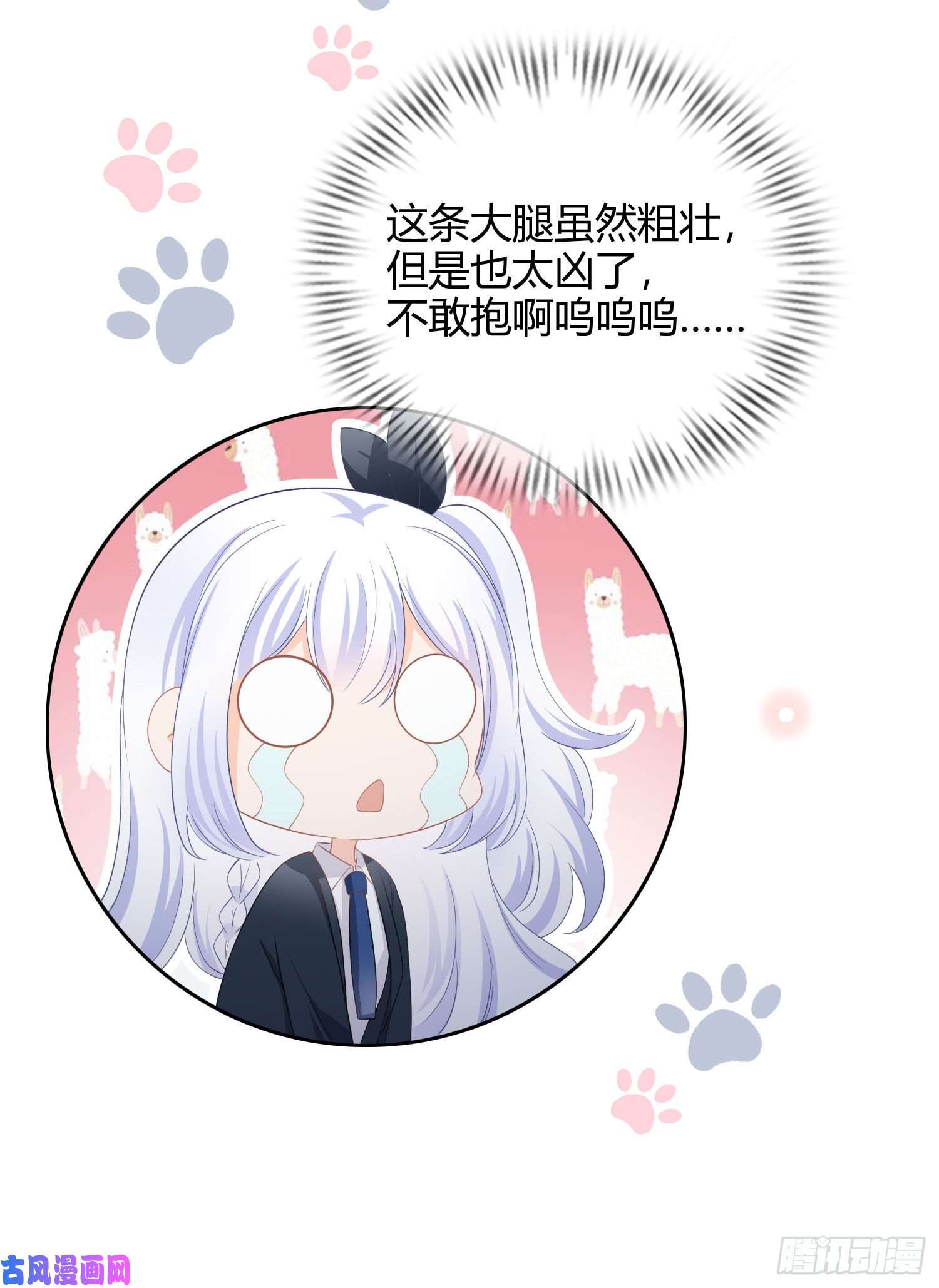 当影后不如念清华篮球队猛男集体落泪
