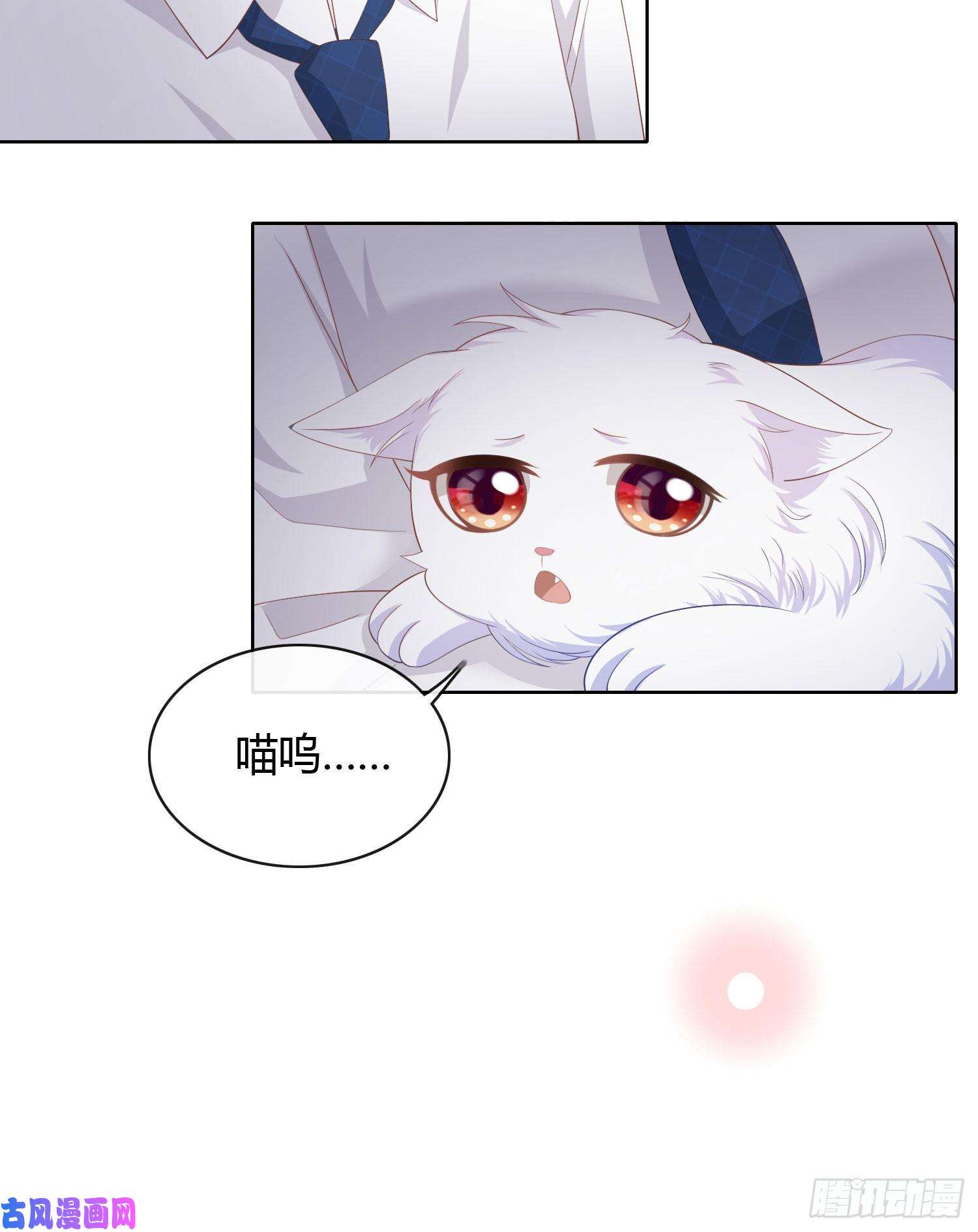 当影后不如念清华绿茶终结者
