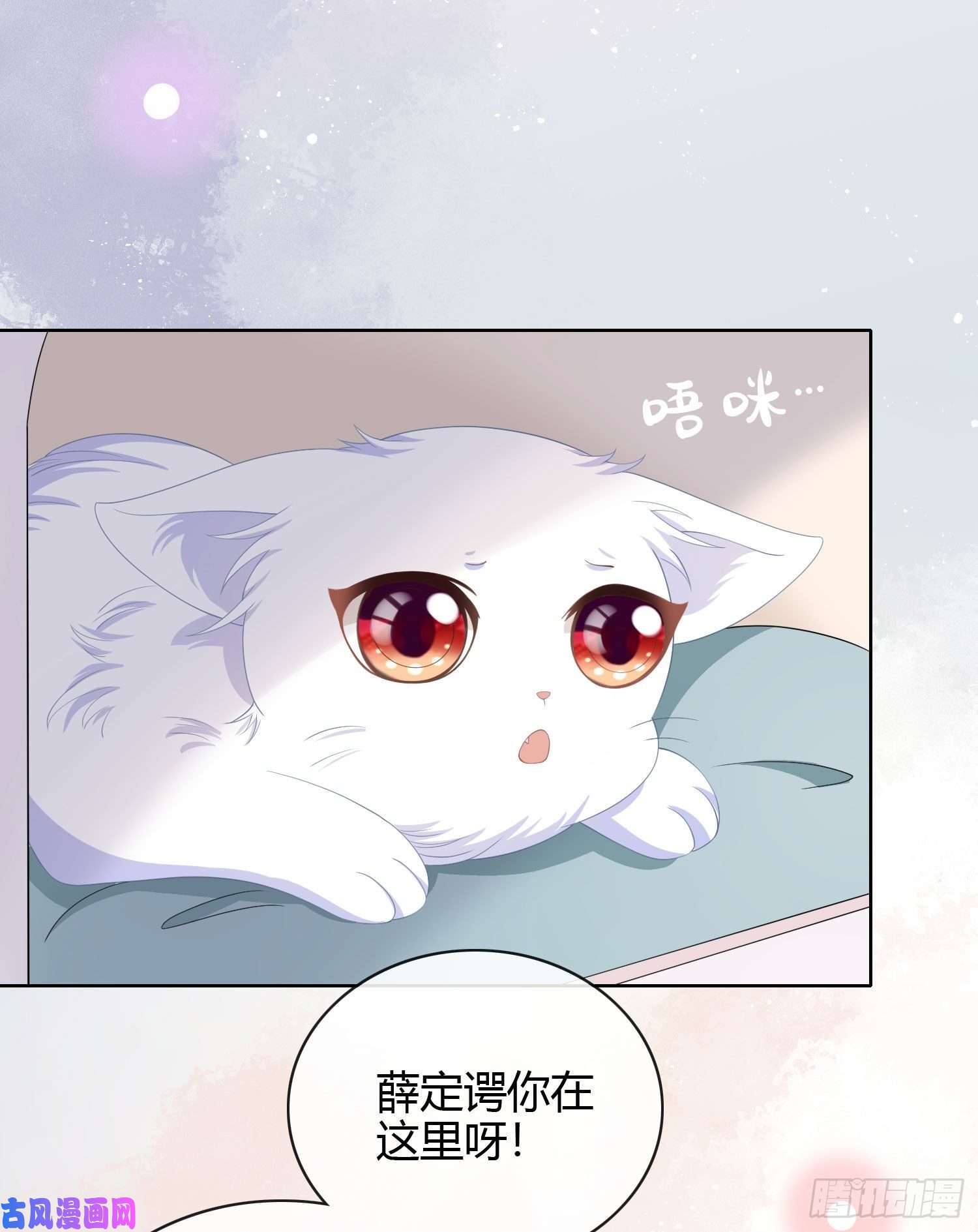 当影后不如念清华绿茶终结者