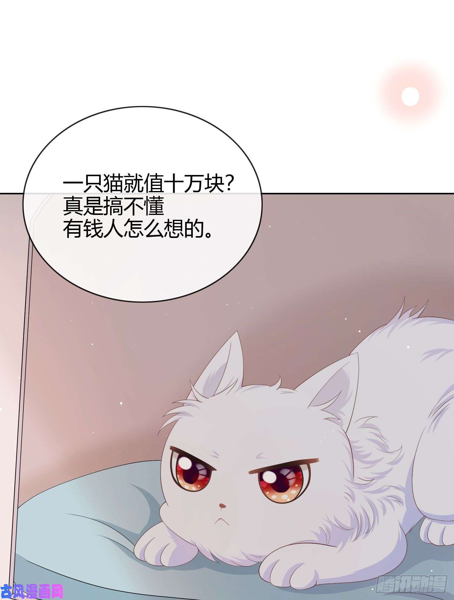 当影后不如念清华绿茶终结者