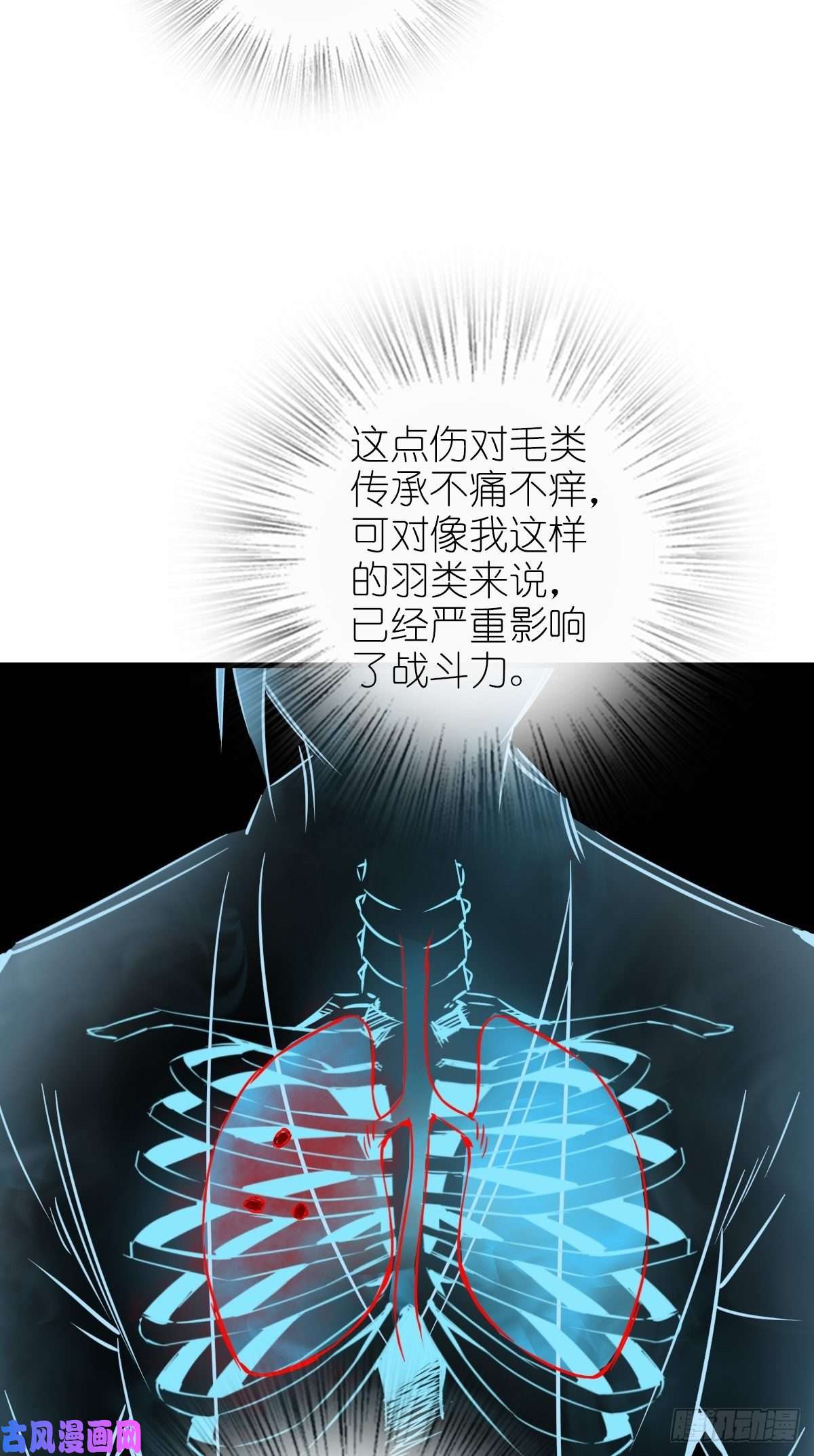 从姑获鸟开始104 鹦鹉