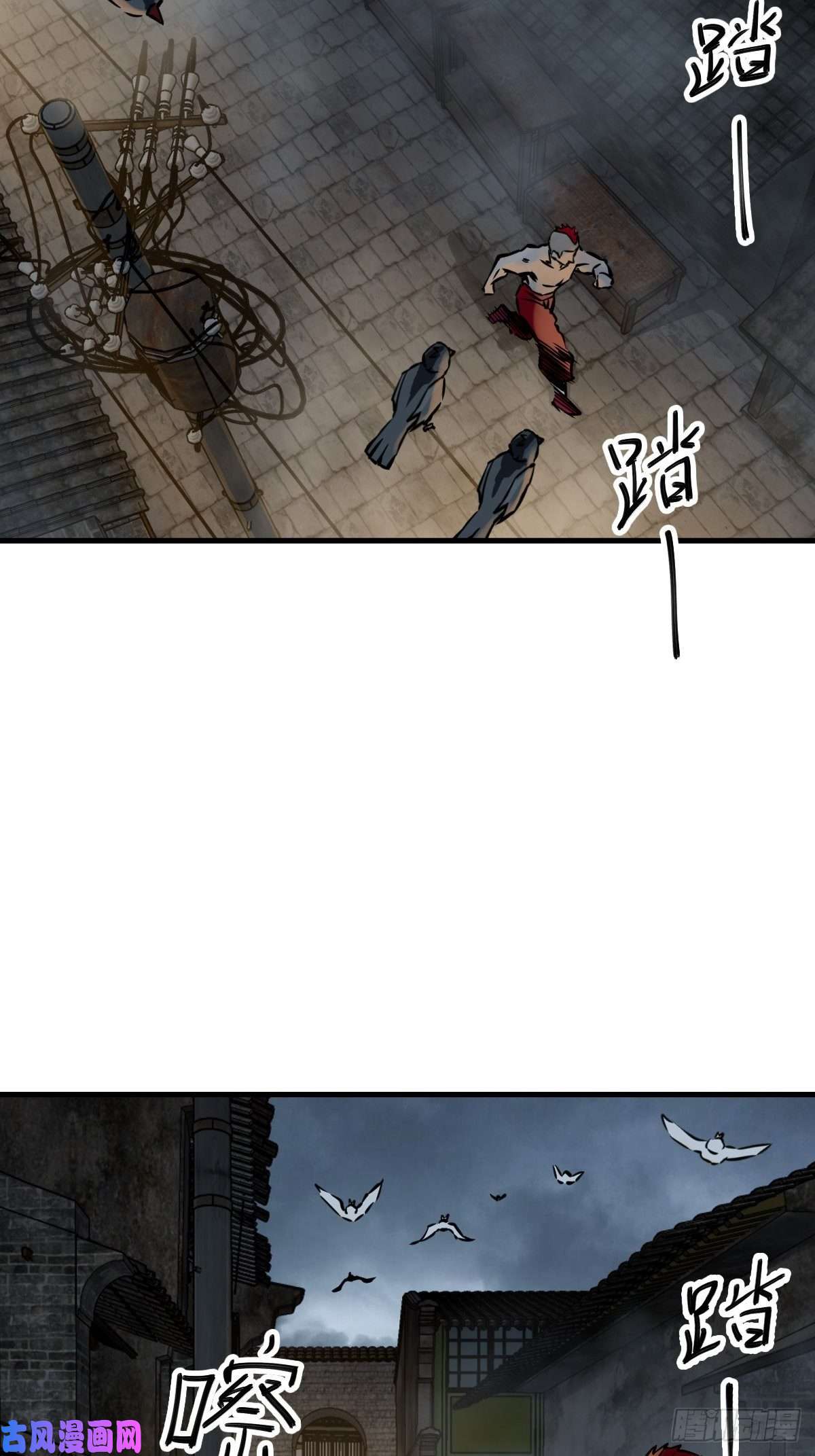 从姑获鸟开始104 鹦鹉