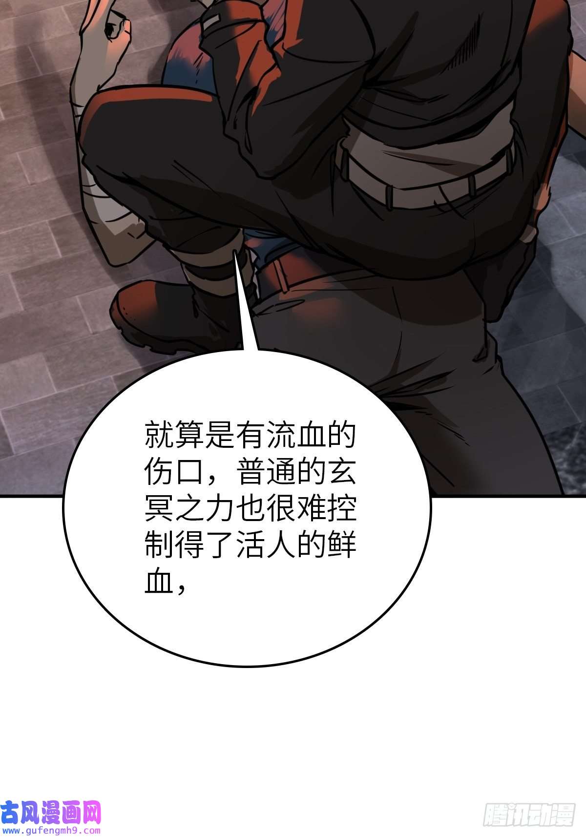 从姑获鸟开始125 五彩猫将军