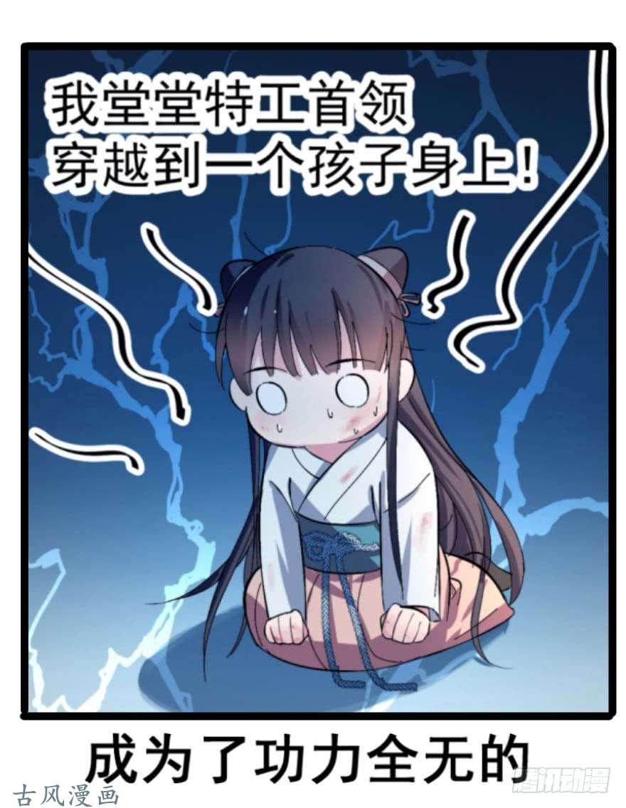 毒步天下：特工神医小兽妃预告