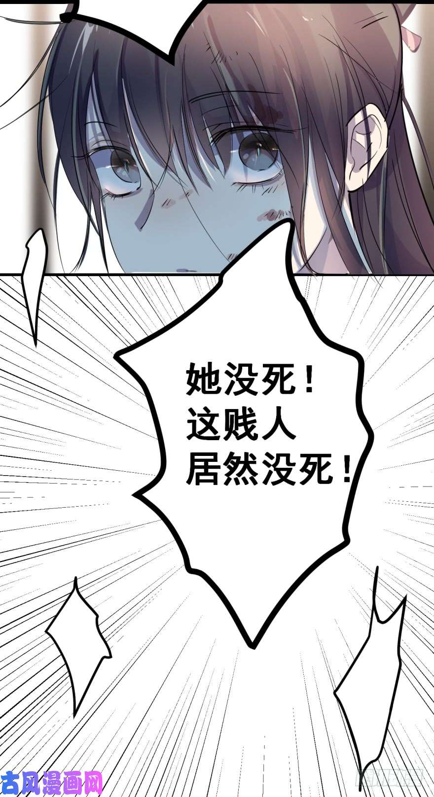 毒步天下：特工神医小兽妃01