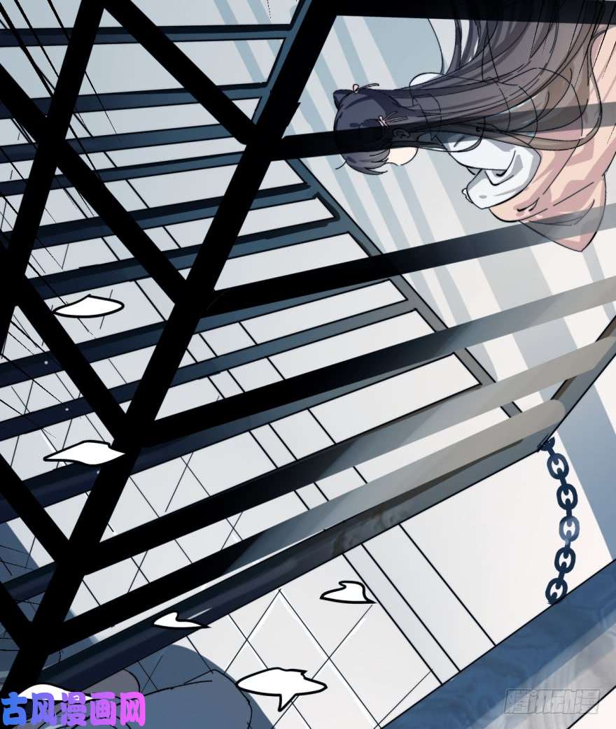 毒步天下：特工神医小兽妃01