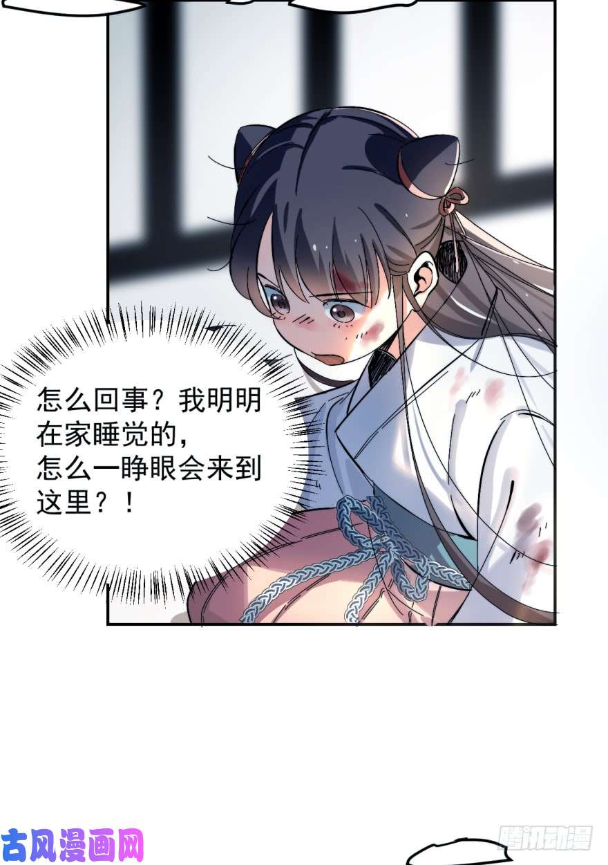 毒步天下：特工神医小兽妃01