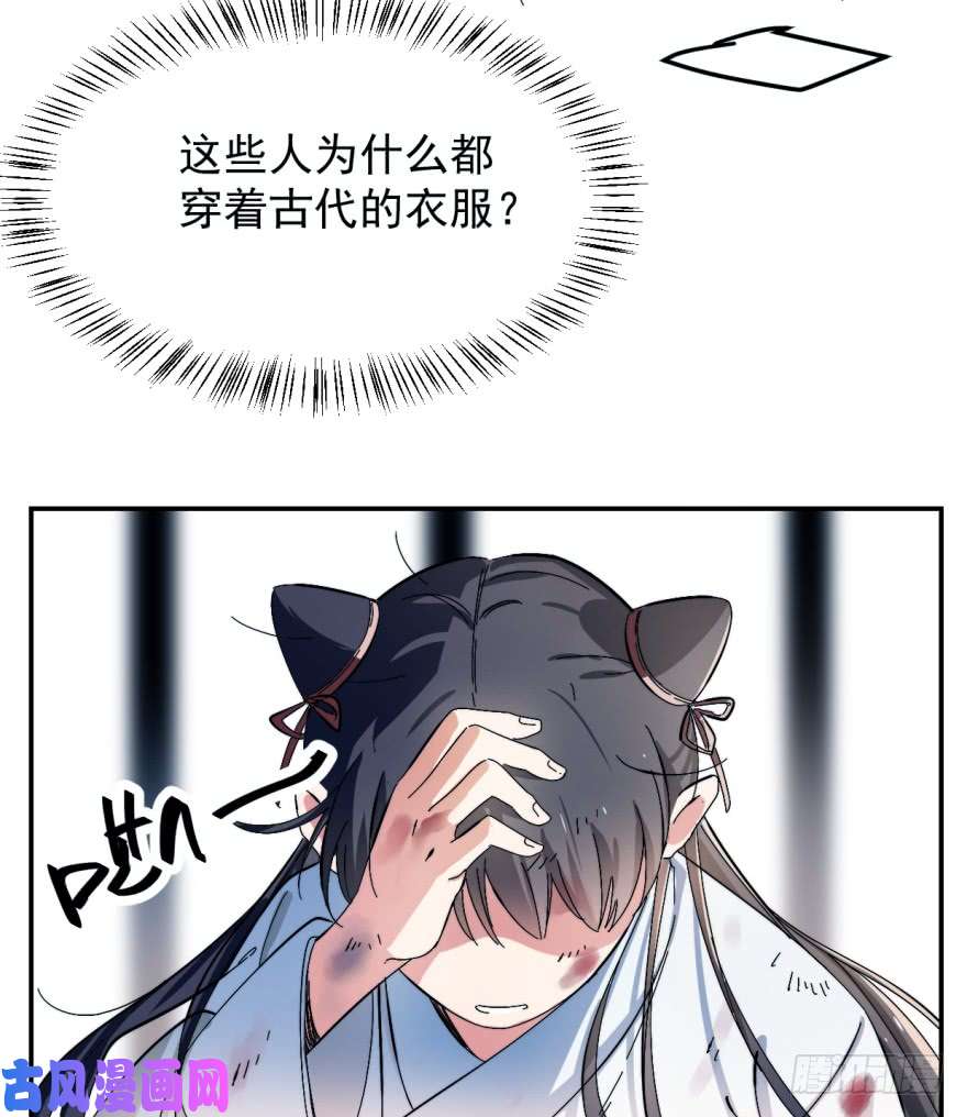 毒步天下：特工神医小兽妃01