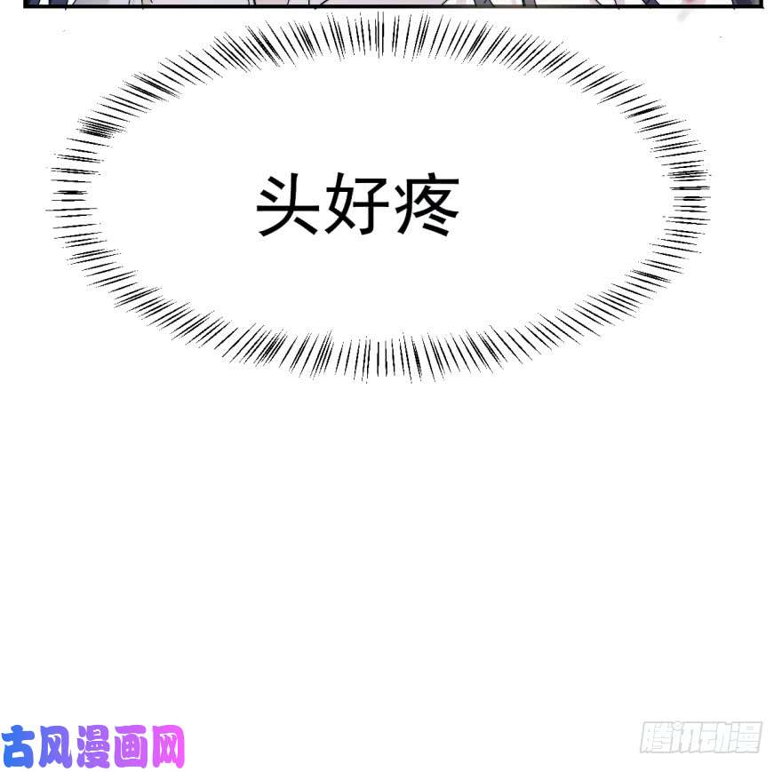 毒步天下：特工神医小兽妃01