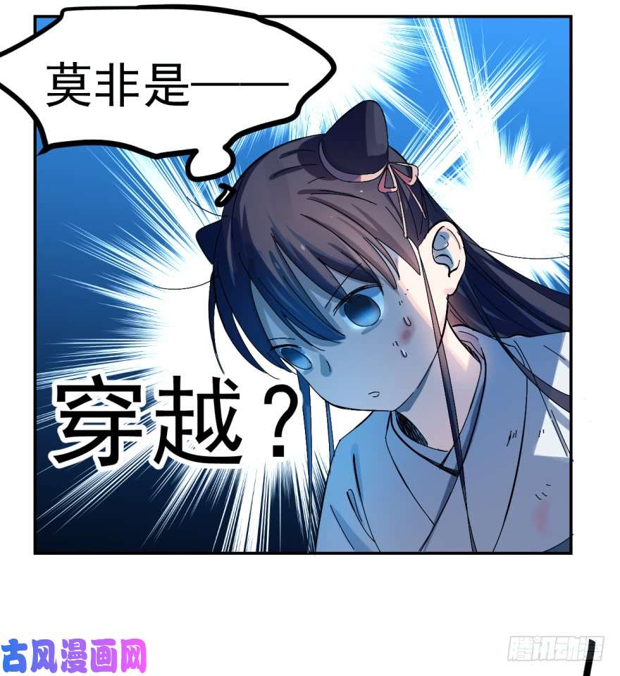 毒步天下：特工神医小兽妃01