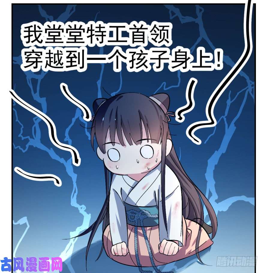 毒步天下：特工神医小兽妃01