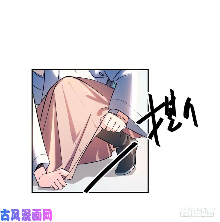 毒步天下：特工神医小兽妃01