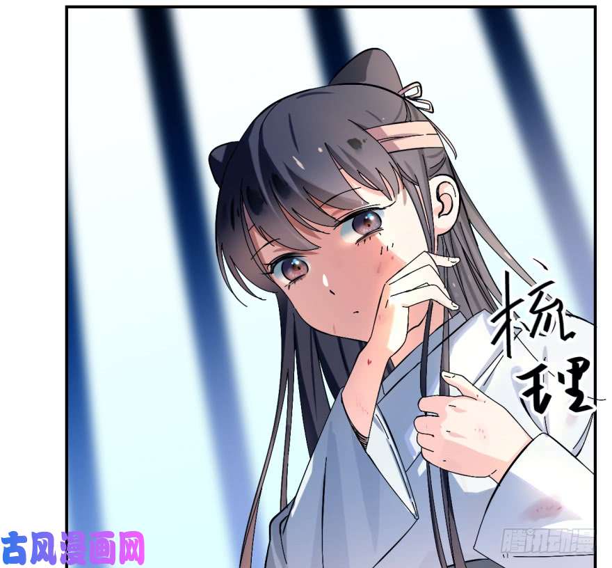 毒步天下：特工神医小兽妃01