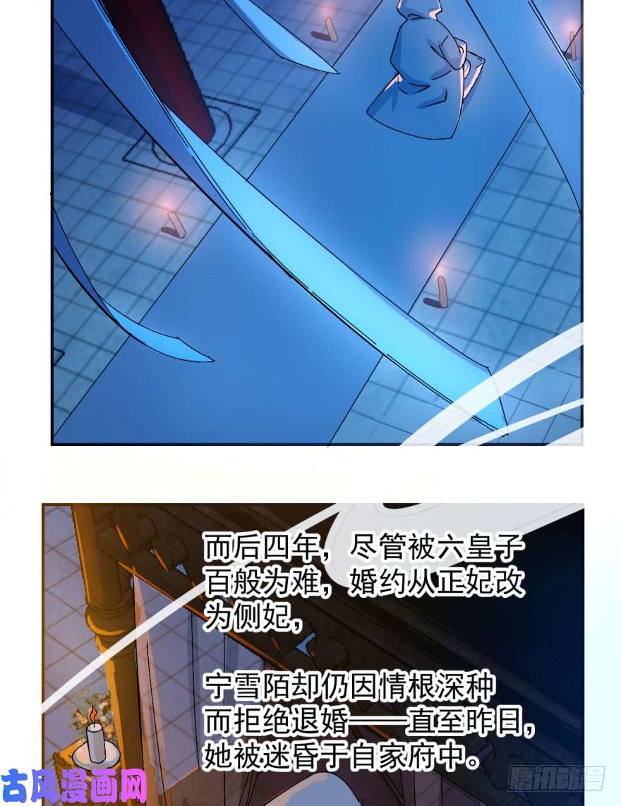 毒步天下：特工神医小兽妃01