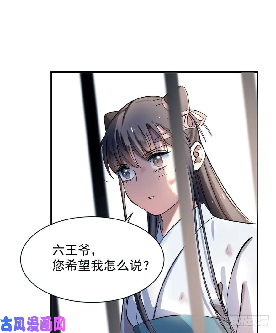 毒步天下：特工神医小兽妃01