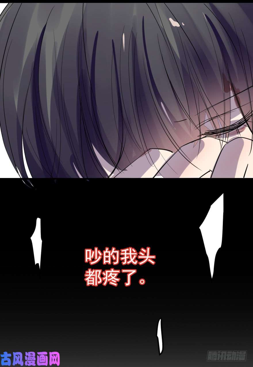 毒步天下：特工神医小兽妃01