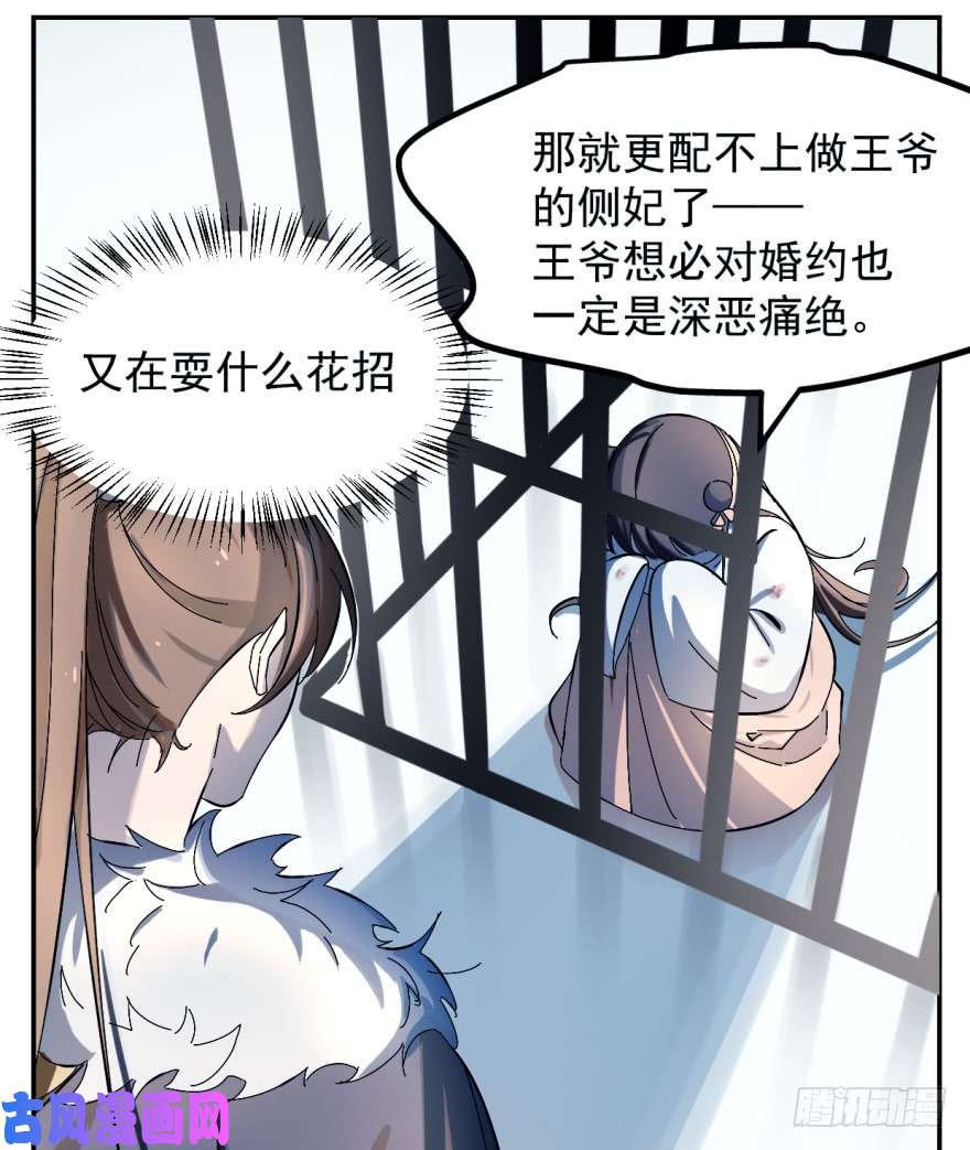 毒步天下：特工神医小兽妃01