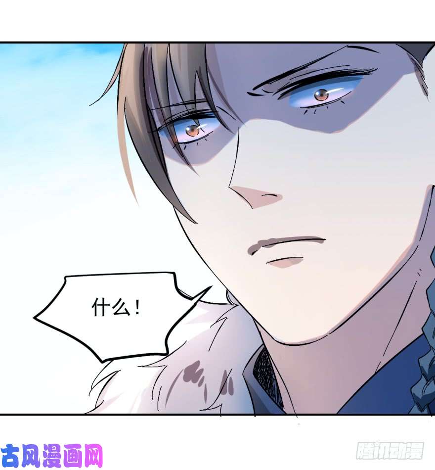 毒步天下：特工神医小兽妃01