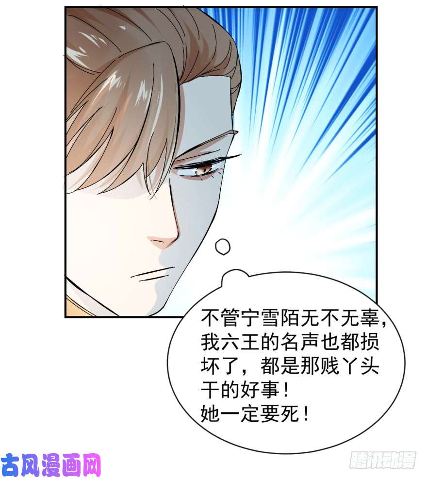 毒步天下：特工神医小兽妃02