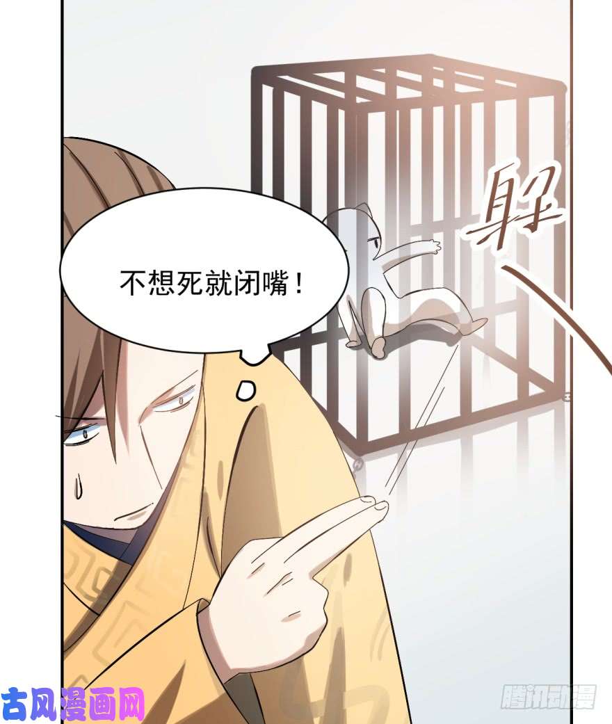 毒步天下：特工神医小兽妃02