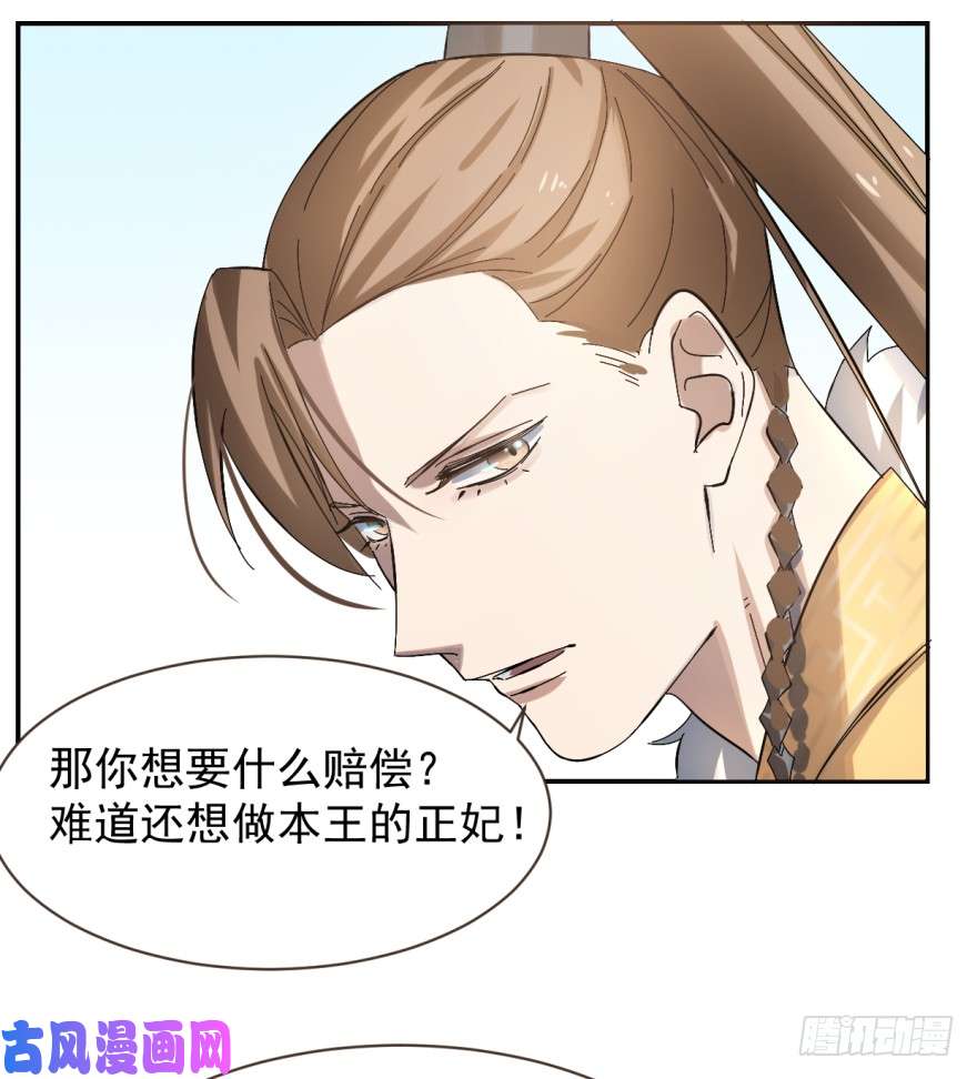 毒步天下：特工神医小兽妃02