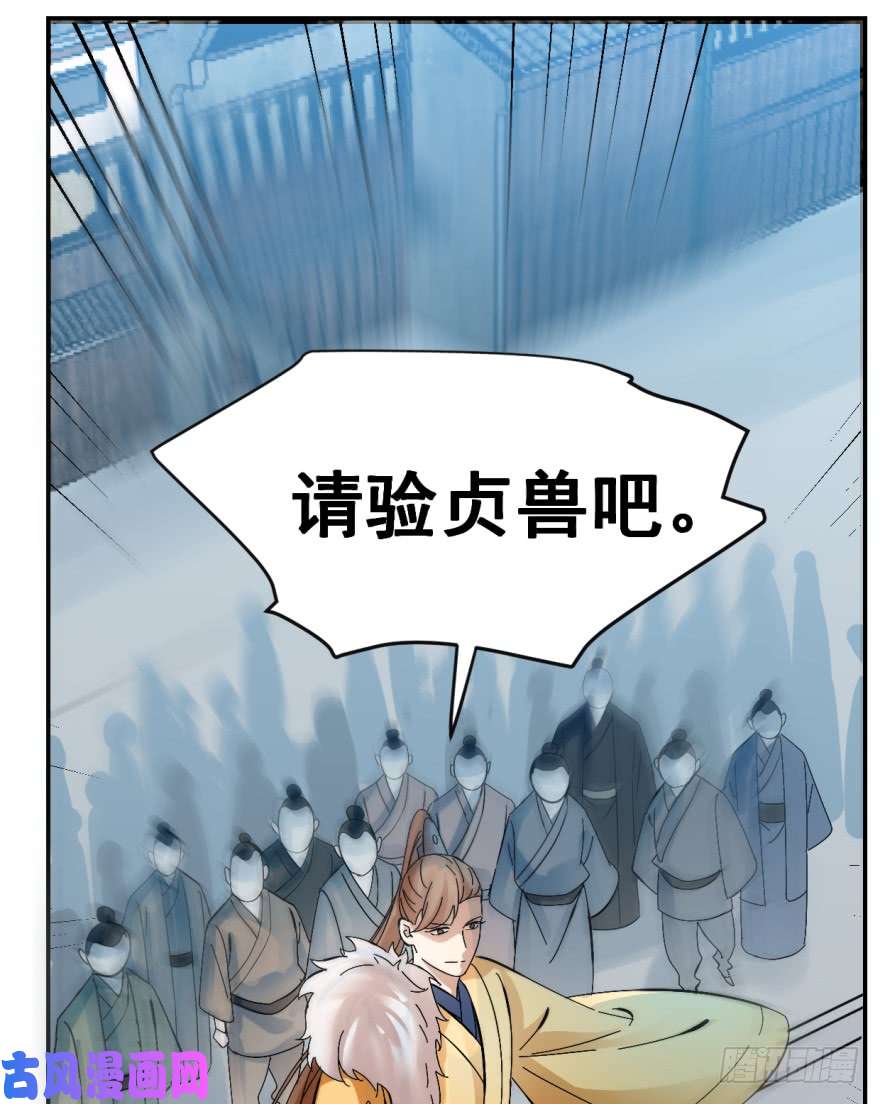 毒步天下：特工神医小兽妃02