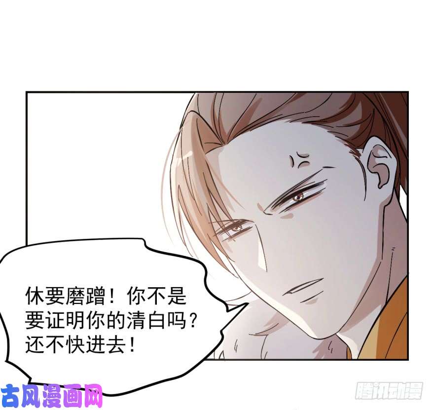 毒步天下：特工神医小兽妃03