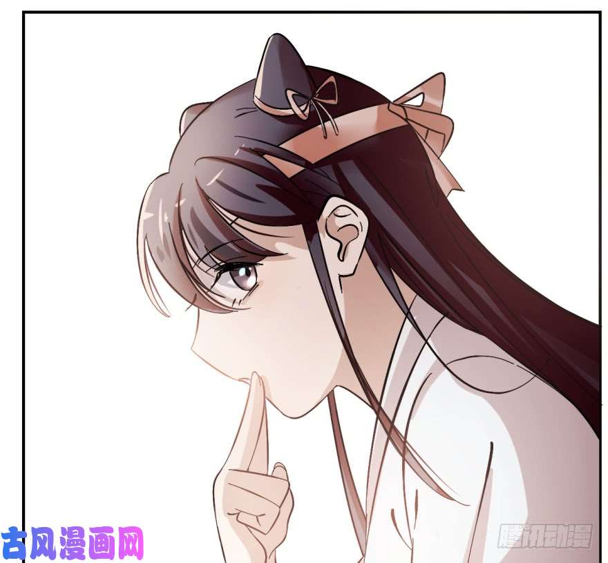 毒步天下：特工神医小兽妃03