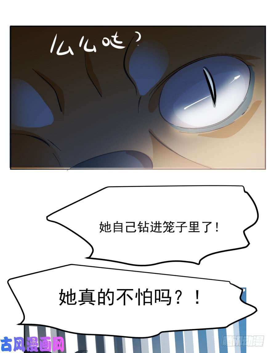 毒步天下：特工神医小兽妃03