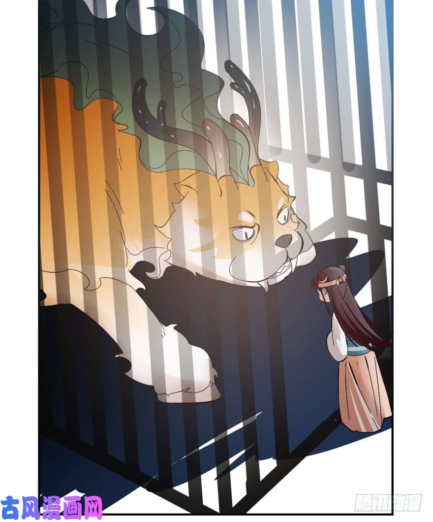 毒步天下：特工神医小兽妃03