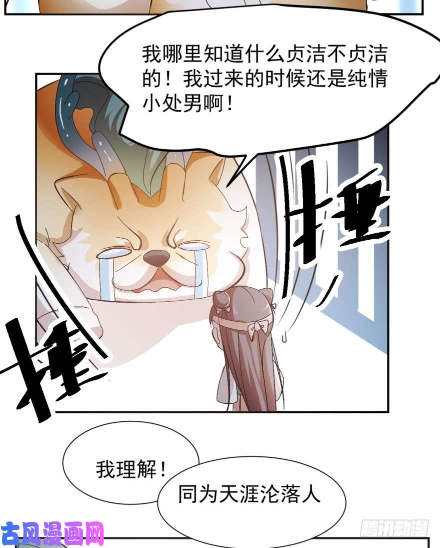 毒步天下：特工神医小兽妃03